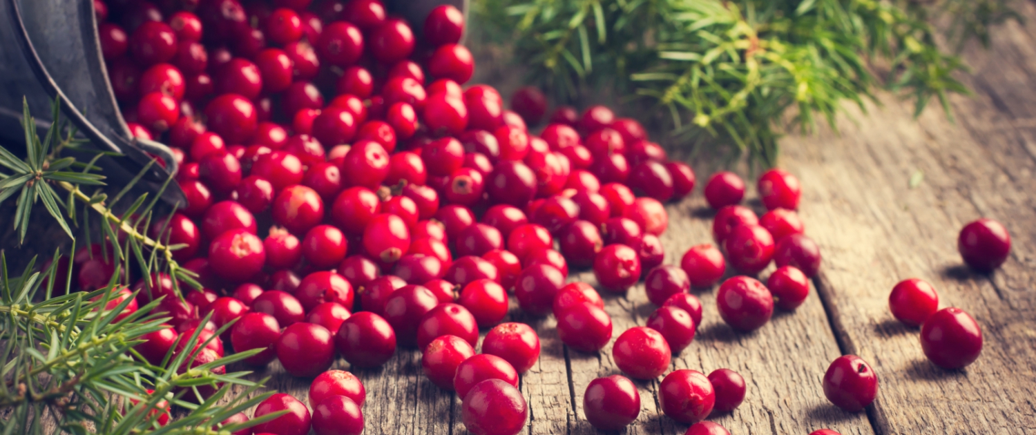 Cranberry food supplier