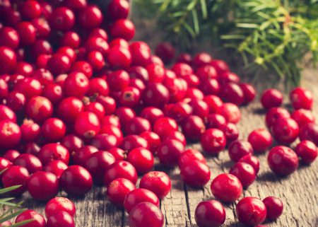 Cranberry food supplier