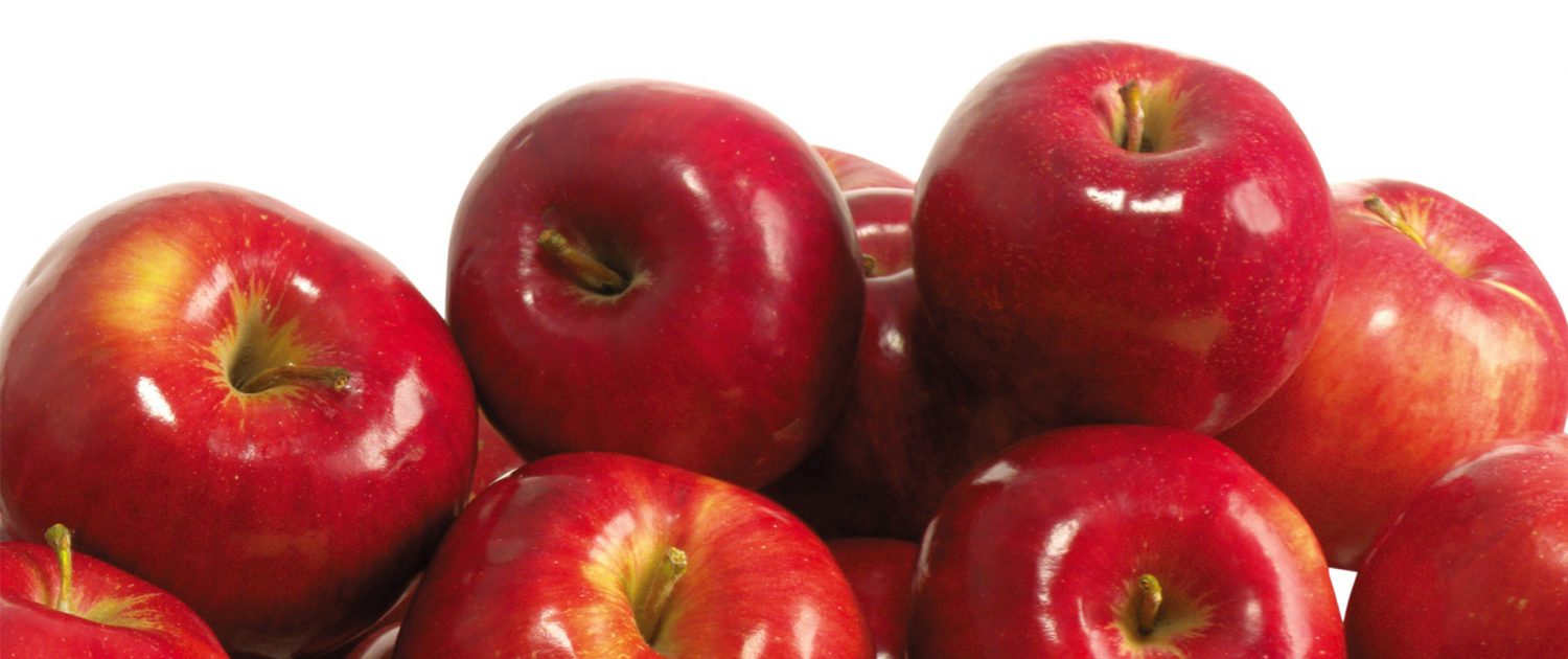apple food producers and suppliers