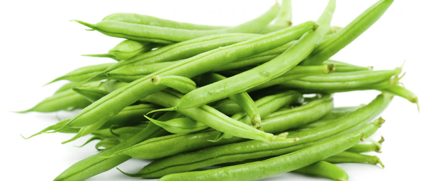 green beans suppliers and producers