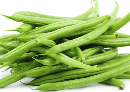 green beans suppliers and producers