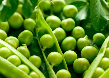 peas ingredients supplier usa