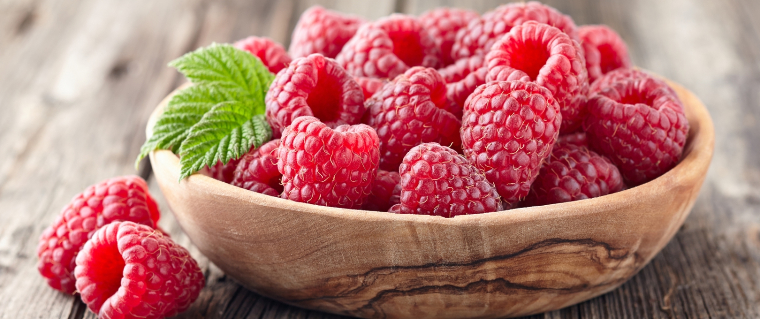 raspberry producers & supplier