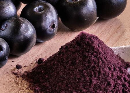 Aronia Powder